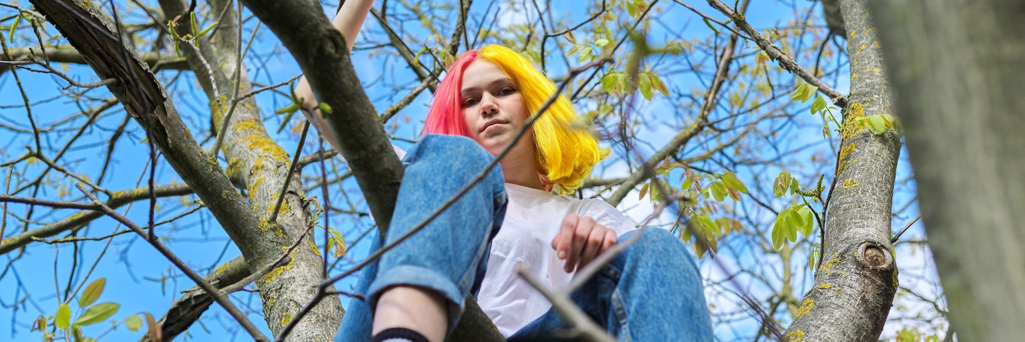 Ung tjej med håret färgat i rosa och gult, sitter i ett träd.